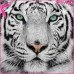 Curso Online de Empoderamiento del Tigre Blanco