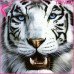 Curso Online de Empoderamiento del Tigre Blanco