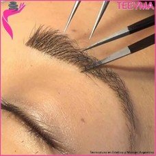 Curso Online de Perfilado, Tinte y Extensiones de Cejas