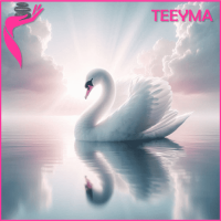 Curso Online de Conexion la Belleza del Cisne